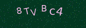 Validation image