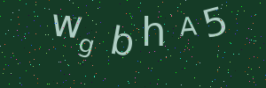 Validation image