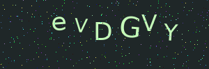 Validation image