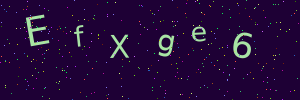 Validation image
