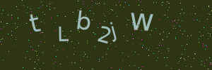 Validation image