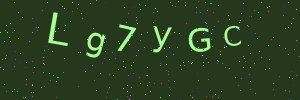 Validation image