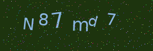 Validation image