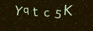 Validation image